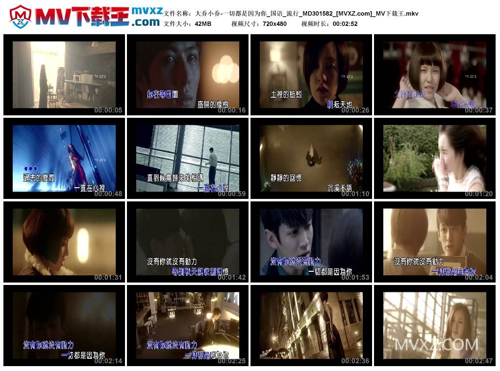 大乔小乔-一切都是因为你_国语_流行_MD301582